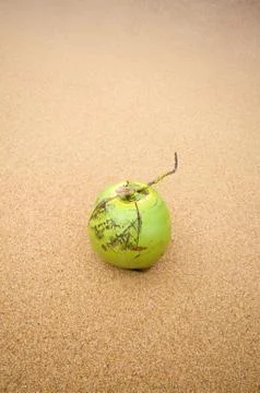 Coconut on the beach Stock Photos