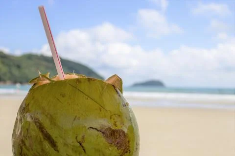 Coconut at the beach Stock Photos