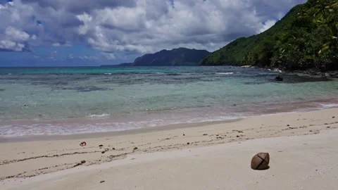 Coconut on a beach in the tropics Stock Footage 268745447