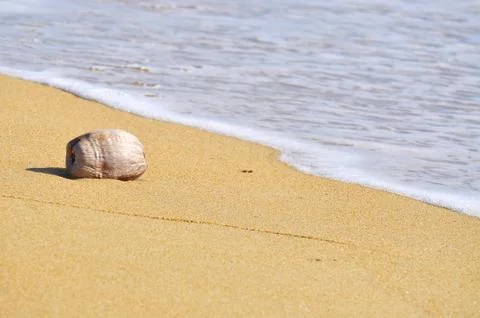 Coconut at the beach with waves Foto stock