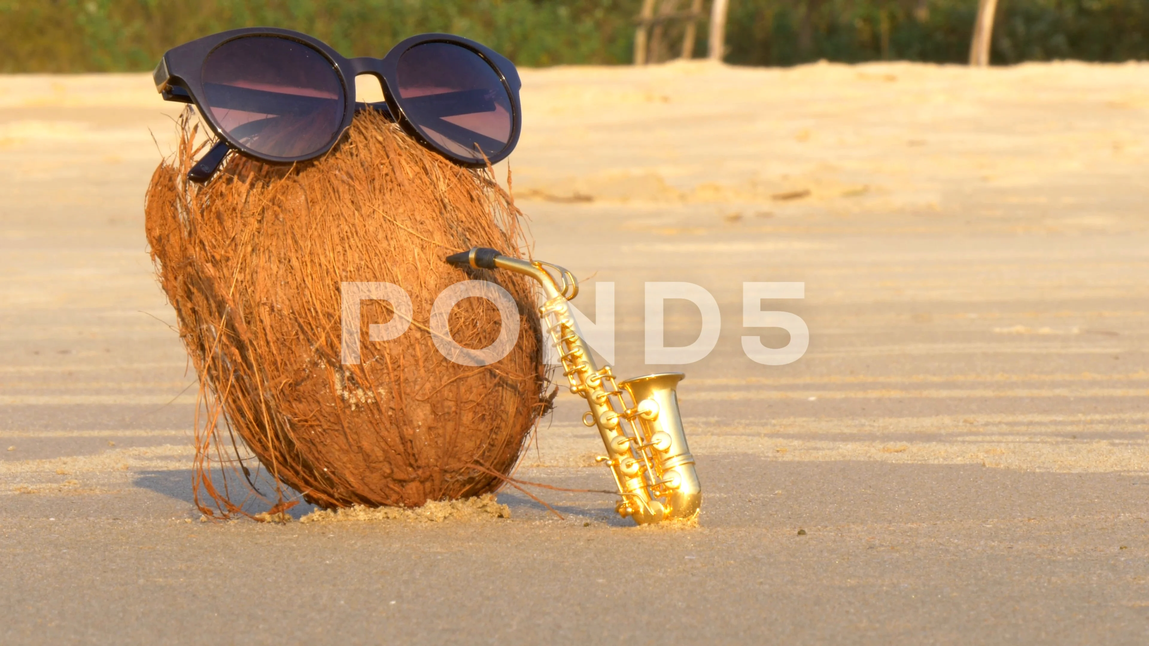 Coconut sunglasses hotsell