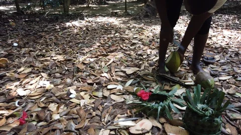 Coconut Being Cut Zanzibar Video stock 124715746