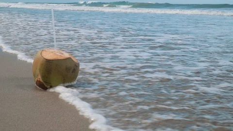 Coconut being washed away by a wave Stock Footage 116743951