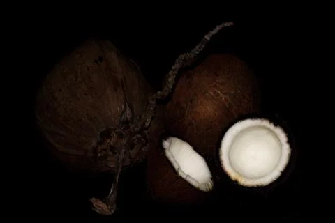 Coconut on Black Background 스톡 사진