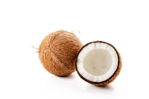 Coconut on a black background Stock Photos
