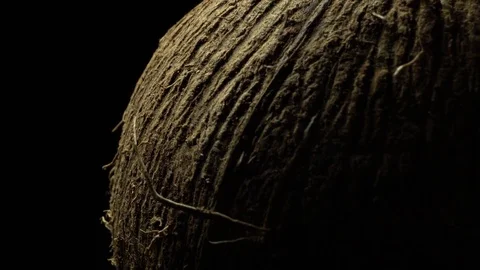 Coconut in black space Stock Footage 82666328