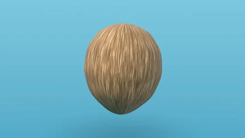 Coconut on blue background. 3d rendering Stock Footage 341999764