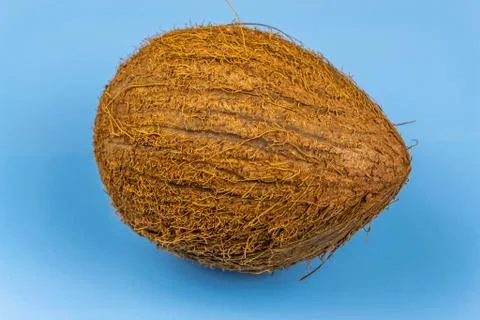 Coconut on blue Stock Photos