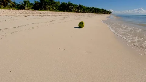 COCONUT BOUNCE ON BEACH Video stock 240409857