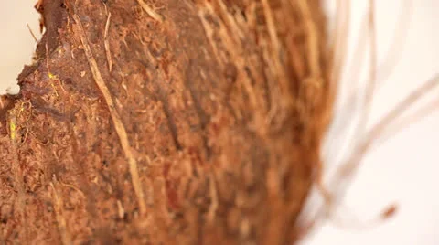 Coconut broken close up Stock-Footage 25304536