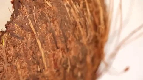 Coconut broken close up Stock Footage 98247474