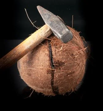 Coconut broken in half with hammer Stock Photos