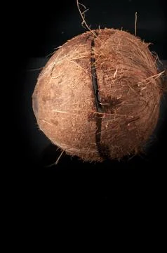 Coconut broken in half 库存照片