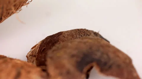 Coconut broken pieces close up Video stock 25304437