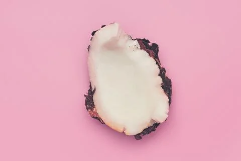 Coconut broken on pink background isolate, copyspace, layout Stock Photos