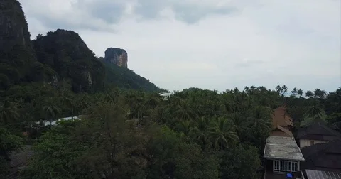 Coconut canopy and karst spires under a flat white sky Vidéo 71298119