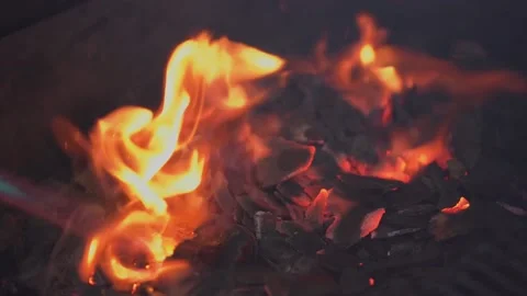 Coconut charcoal barbecue Stock Footage 147078145
