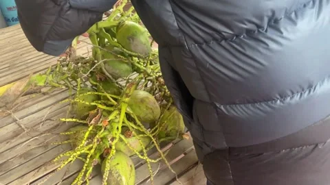 Coconut chopper Stock Footage 300233478