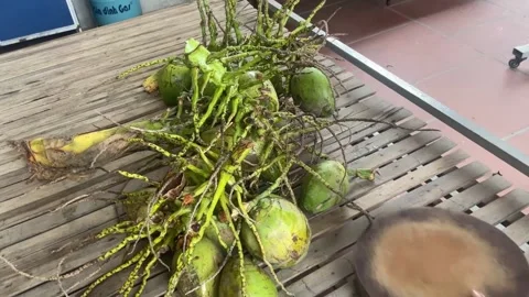 Coconut chopper Stock Footage 300233481