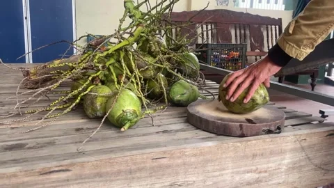 Coconut chopper Stock Footage 300233485