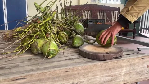 Coconut chopper Stock Footage 300233490