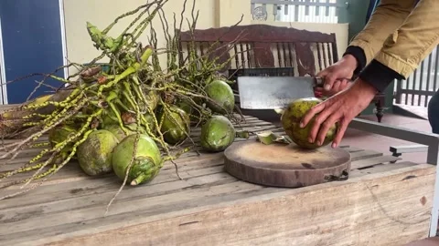 Coconut chopper Stock Footage 300233492