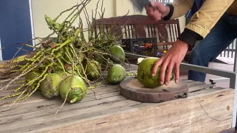 Coconut chopper Stock Footage 300233495