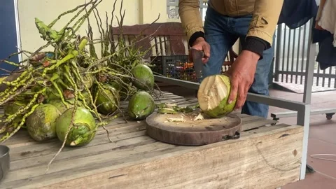 Coconut chopper Stock Footage 300233498
