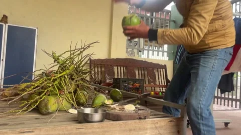 Coconut chopper Stock Footage 300233511