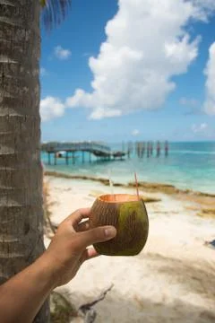 Coconut close up with blurred background Stock Photos