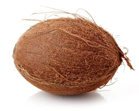 Coconut close up isolated on white Stock Photos