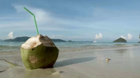 Coconut cocktail on sandy ocean beach near the water. tropical landscape. Travel Stock Footage 82643865