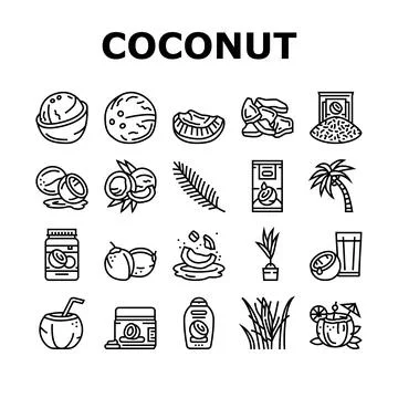 Coconut coco fruit fresh white icons set vector Ilustración de archivo