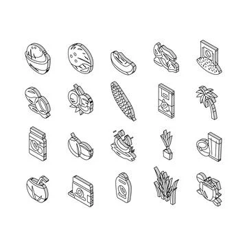Coconut coco fruit fresh white isometric icons set vector Ilustración de archivo