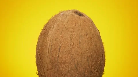 Coconut - Coco Nut Close Up Stock Footage 157597637