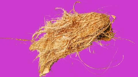 The coconut coir Stock Photos