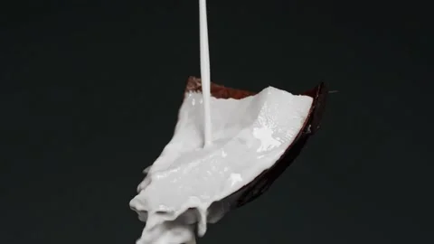 Coconut covered with milk on black background. Coconut milk pouring. Coconut Stock Footage 141430873