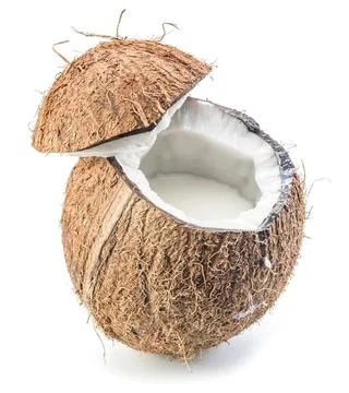 Coconut with cracked open shell and white inside Stock-Fotos