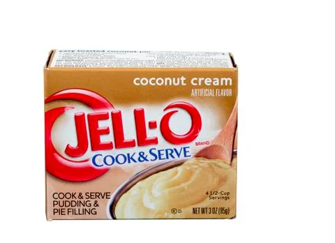 Coconut cream pudding 库存照片