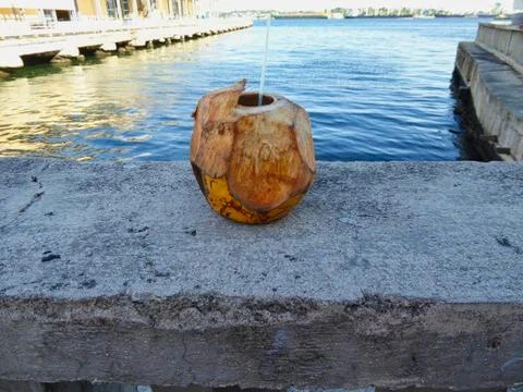 A coconut cup with a drinking straw Stock Photos