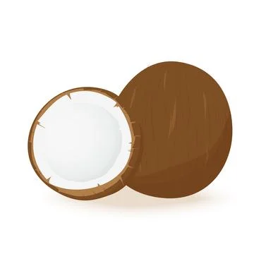 Coconut cut in half on a white background. Vector illustration イラスト素材