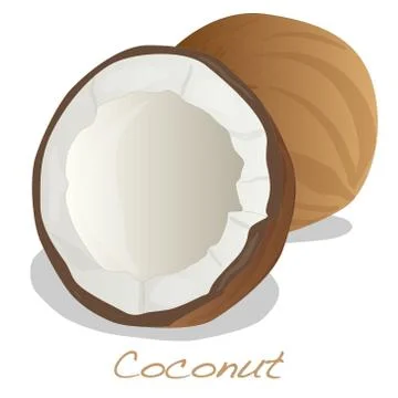 Coconut cut vector Stock Illustration