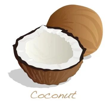 Coconut cut vector Stock Illustration