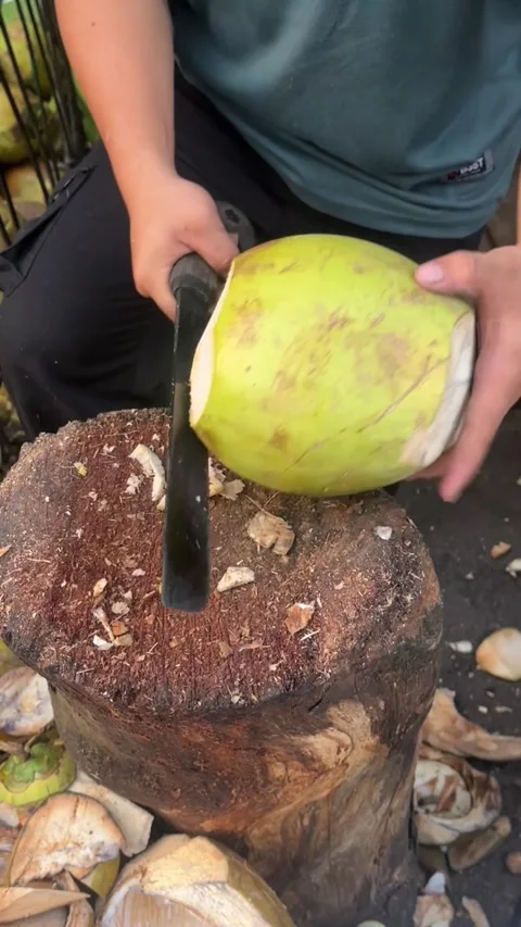 Coconut Cutting in Bright Outdoor Setting with Fresh Fruit and Bark Mulch Видео 344608056