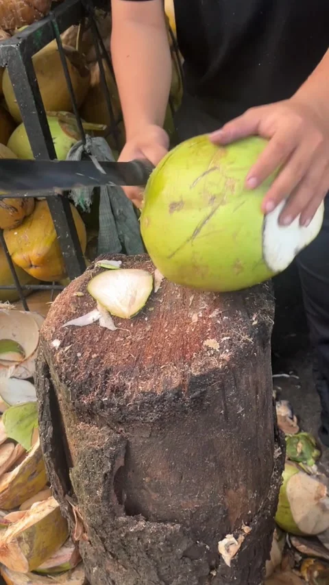 Coconut Cutting Demonstration in Outdoor Setting Stock Footage 344608119