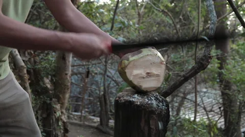 Coconut cutting with Machete Stock Footage 47076635
