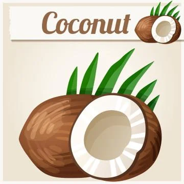 Coconut. Detailed Vector Icon Stock Illustration