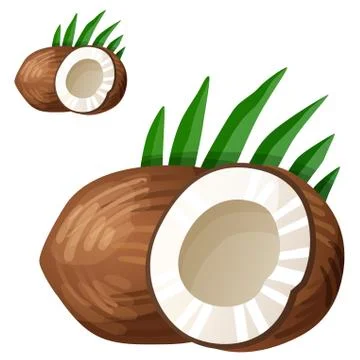 Coconut. Detailed Vector Icon isolated on white background Stock Illustration