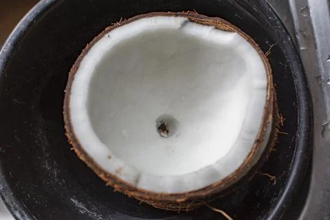 The coconut, is dissolved in a container. Stock Photos