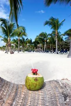 Coconut drink Stock Photos